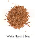 White Mustard Seed